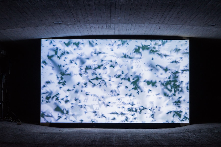 Jeremy Deller’s Brückenmusik23 3