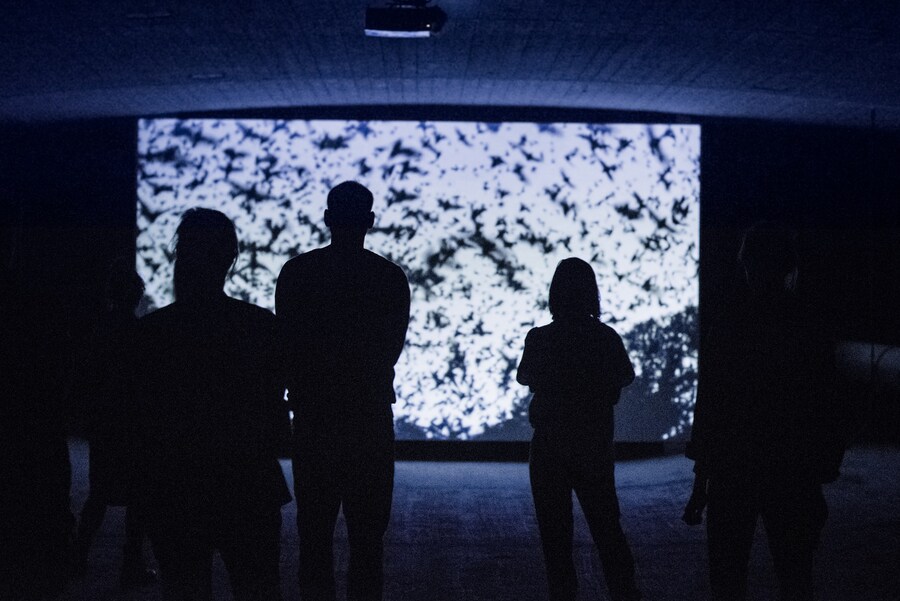 Jeremy Deller’s Brückenmusik23 4