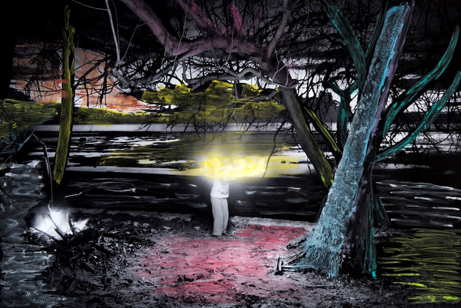 Sanne de Wilde, The Island Of The Colourblind 0