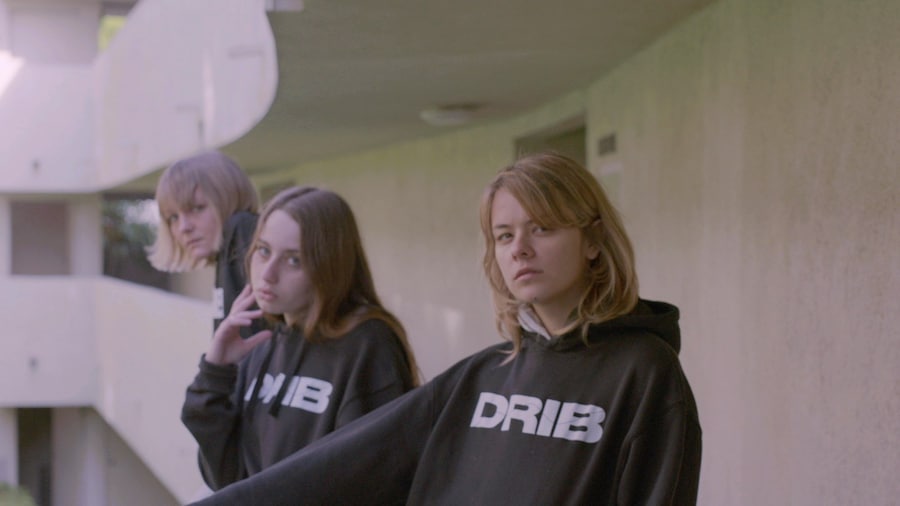 DRIB 27