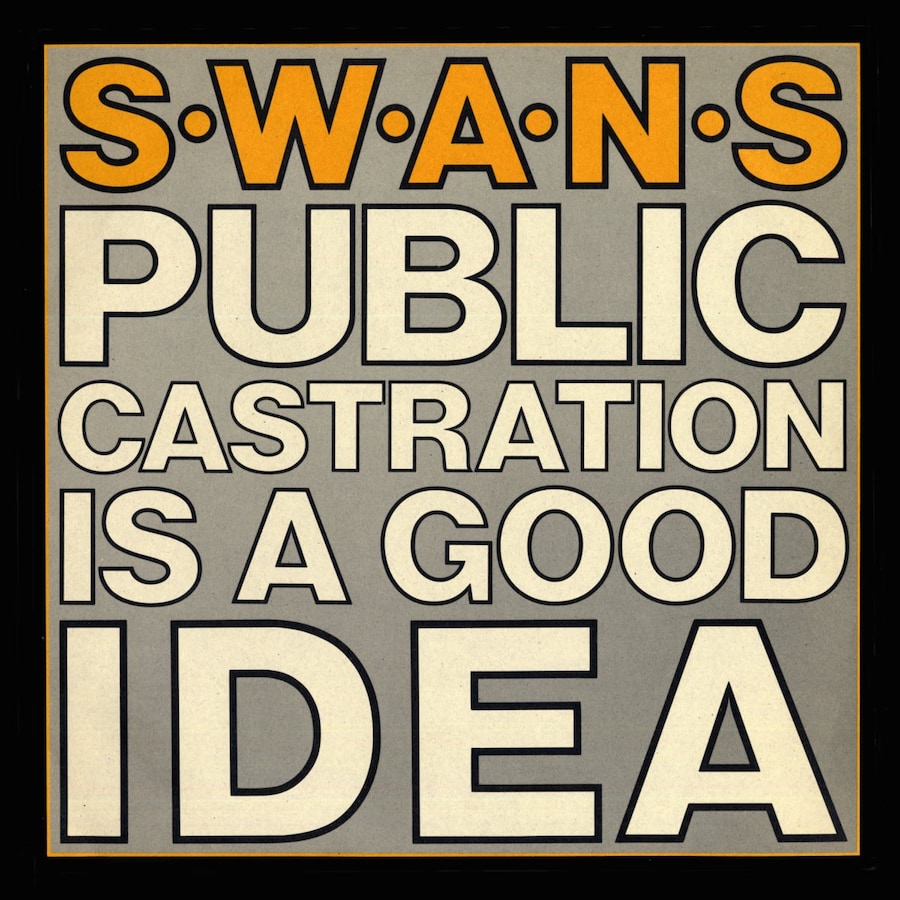 Swans 2