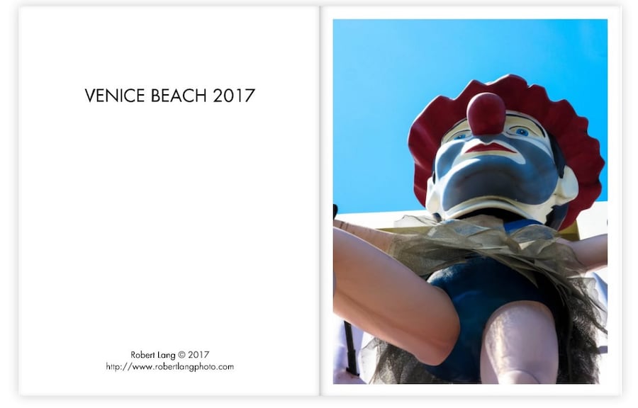 Robert Lang Venice Beach 0