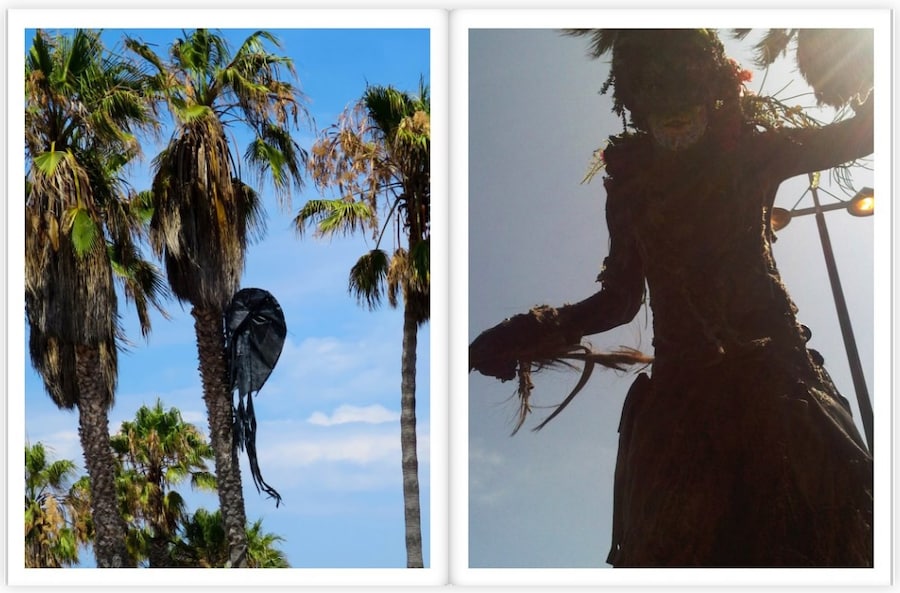 Robert Lang Venice Beach 6
