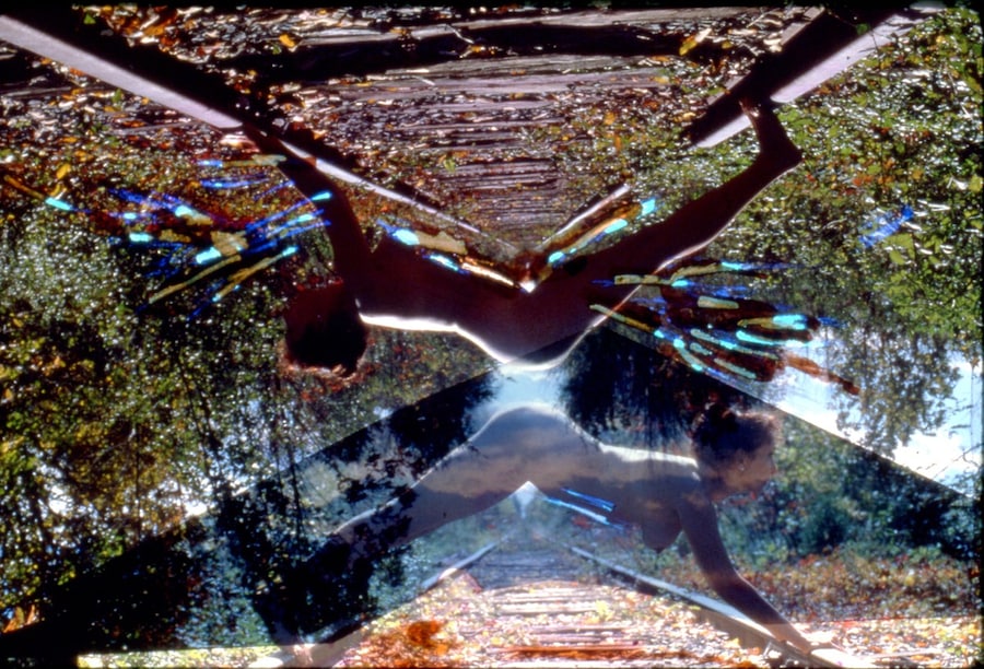 Carolee Schneemann at PS1 4