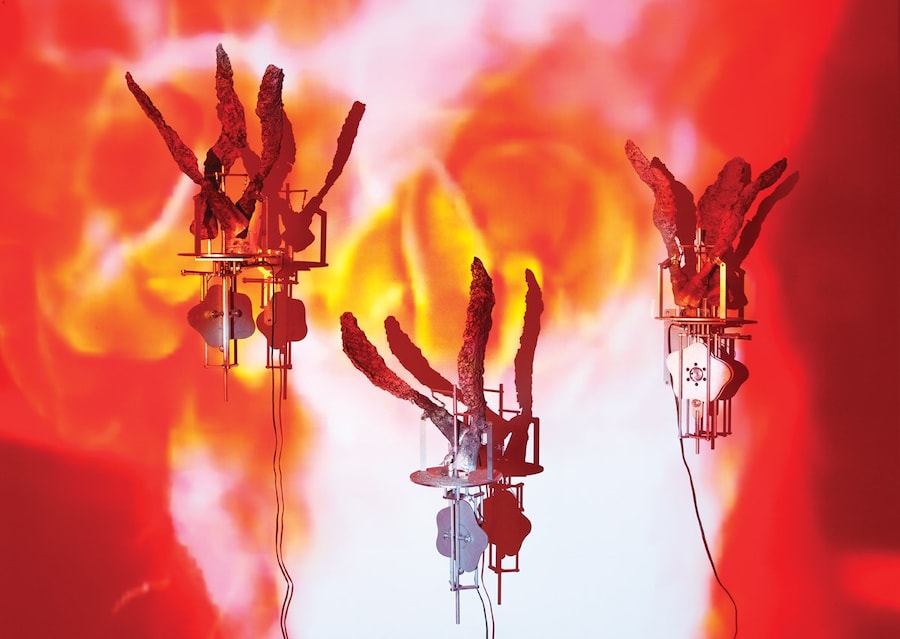 Carolee Schneemann at PS1 13