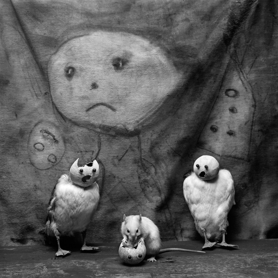Ballenesque, Roger Ballen: A Retrospective 6