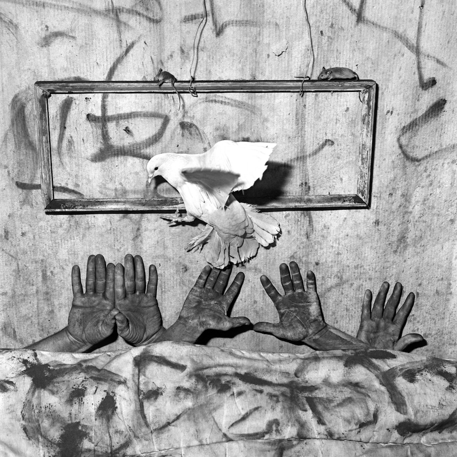 roger ballen 2冊 Roger Ballen 