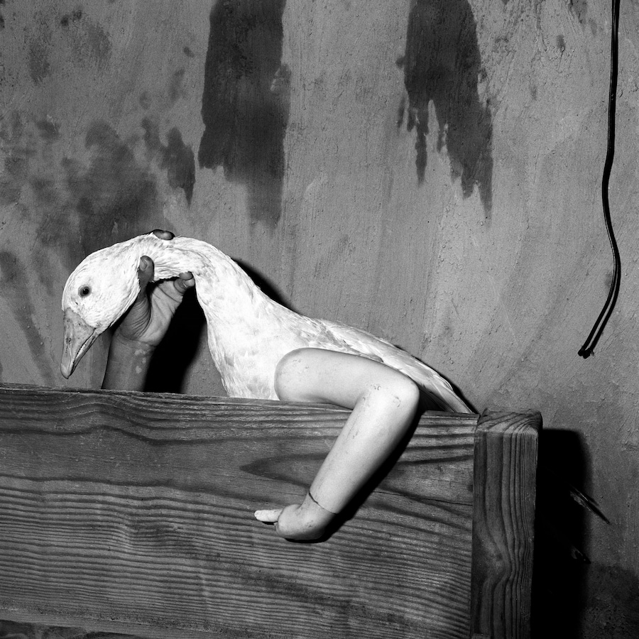 Ballenesque, Roger Ballen: A Retrospective 11