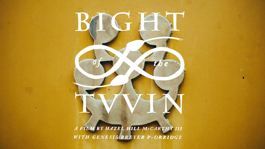BIGHT-OF-THE-TWIN 18