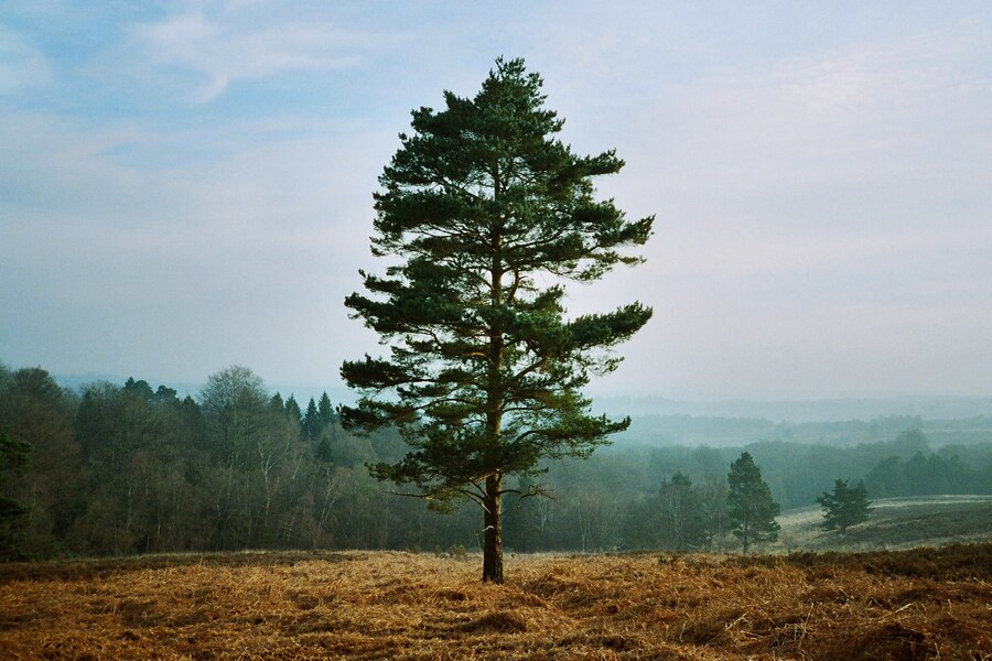 Sam Hiscox’s Everything, Tomorrow 7