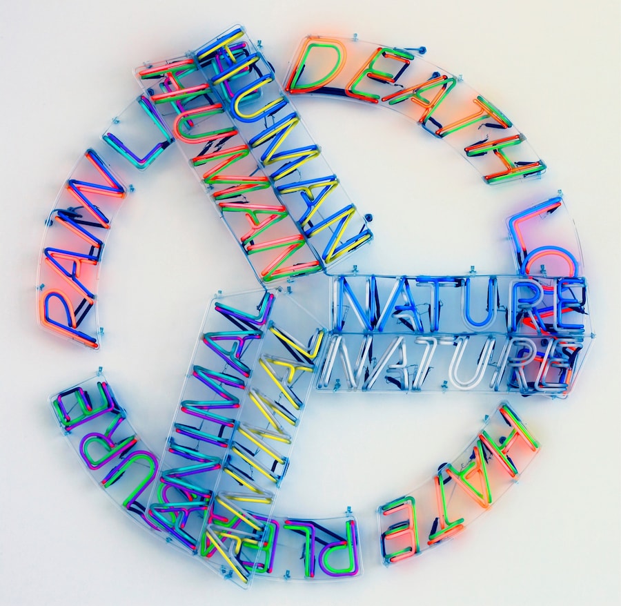 Delirious Art: Art at the Limit of Reasons 14