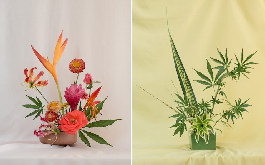 Broccoli_SeekingArrangement_03_PhotobyAnjaCharbonn 9