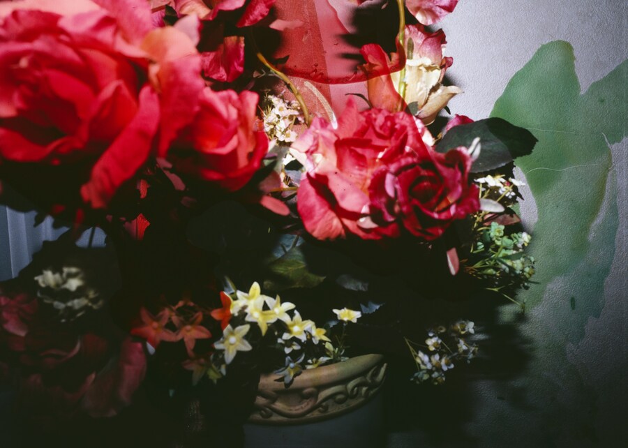 Nobuyoshi Araki&#39;s Blue Period/Last Summer: Arakinema 11