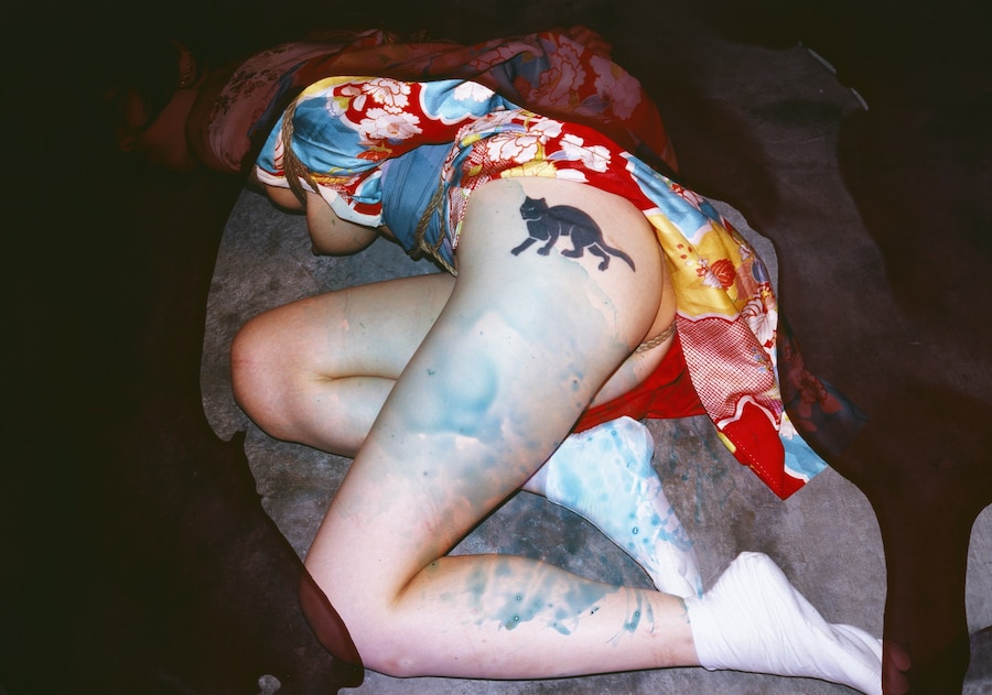 Nobuyoshi Araki&#39;s Blue Period/Last Summer: Arakinema 5