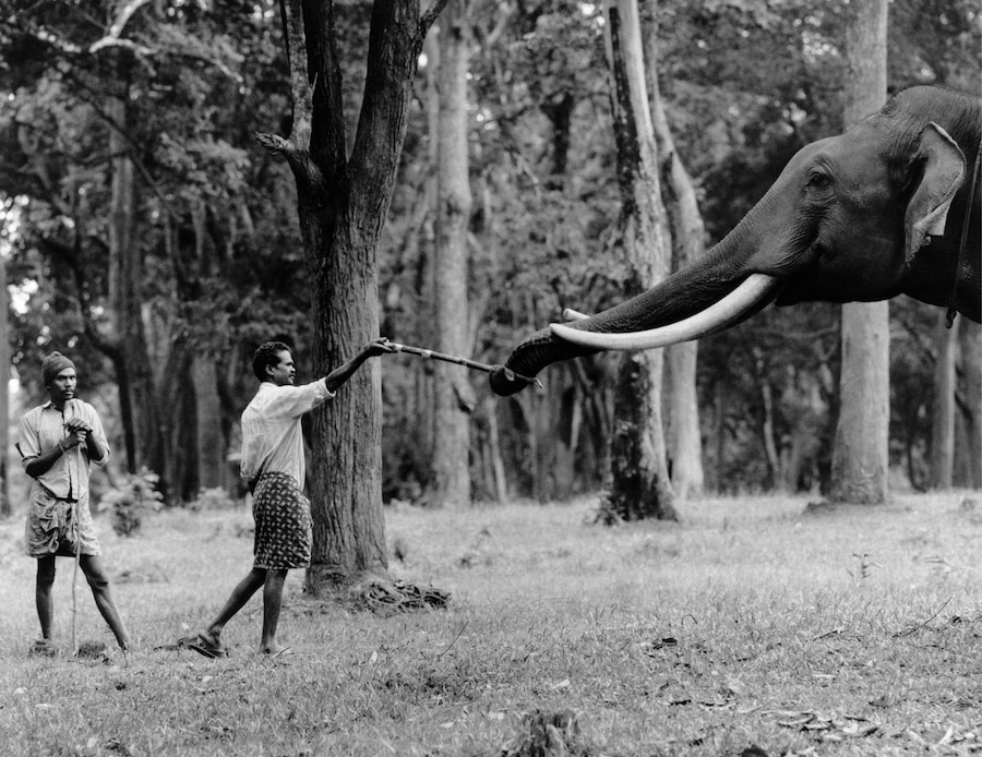 A study of human and animal habitats 9