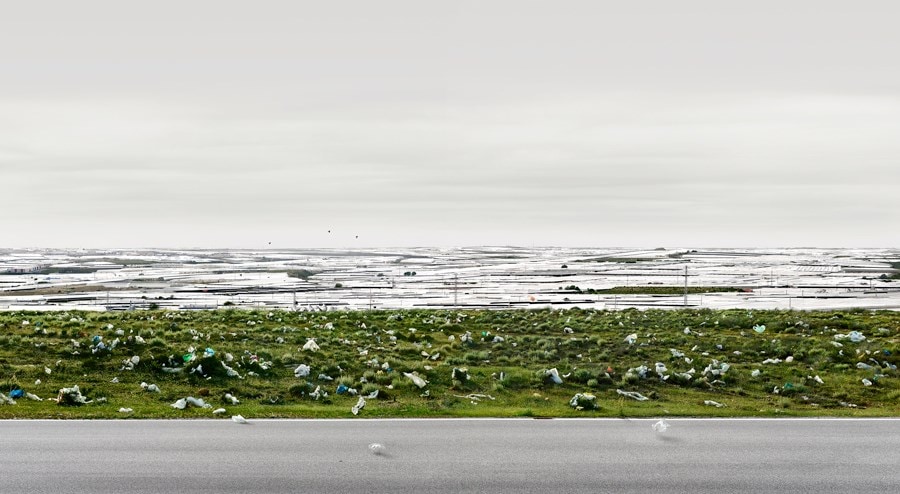 Andreas Gursky 6