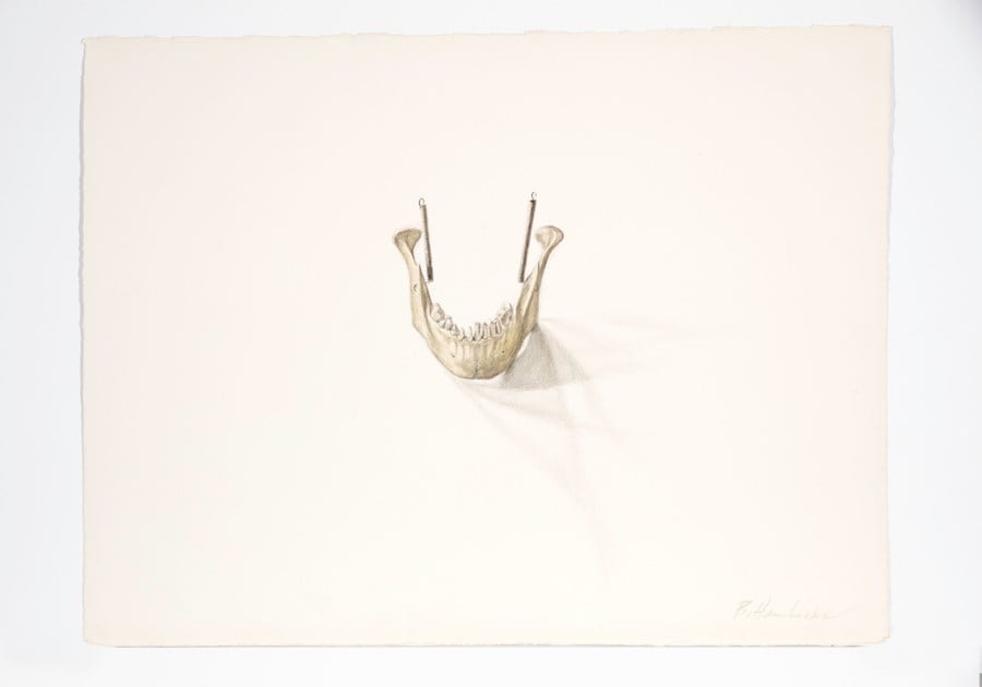 Barkley L. Hendricks 18
