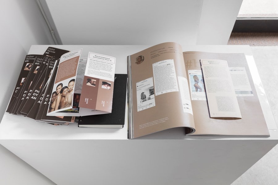 Mandy Harris Williams at Paula Cooper Gallery, NYC 3