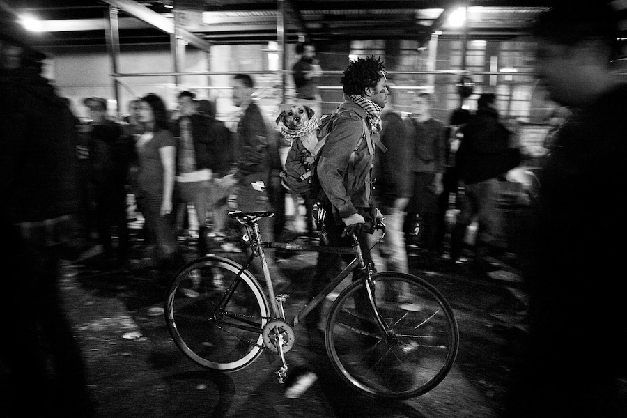 Bike Kill, Julie Glassberg 4