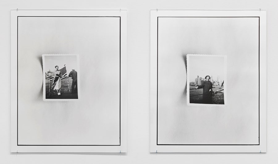 Zoe Leonard: Survey 4
