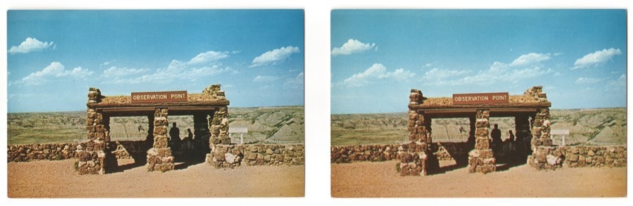 Zoe Leonard: Survey 5