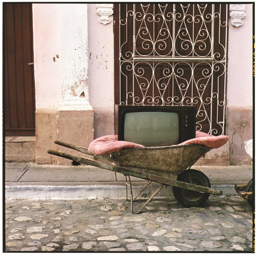 Zoe Leonard: Survey 7