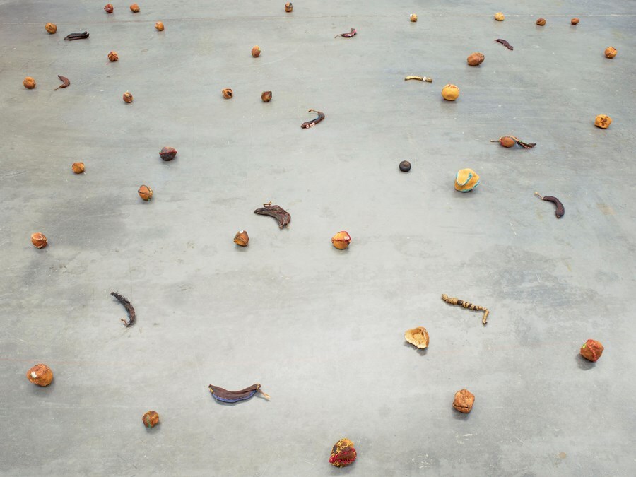 Zoe Leonard: Survey 8