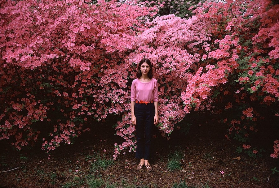 The Photographer in the Garden 6