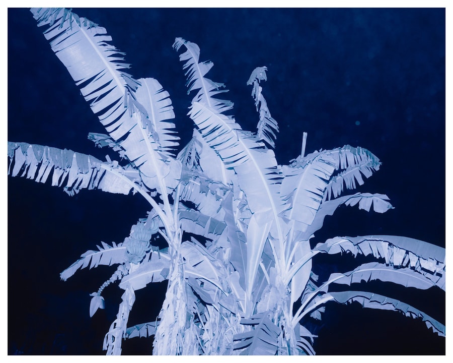 Baloji - Peau de Chagrin Bleu de Nuit music video 16