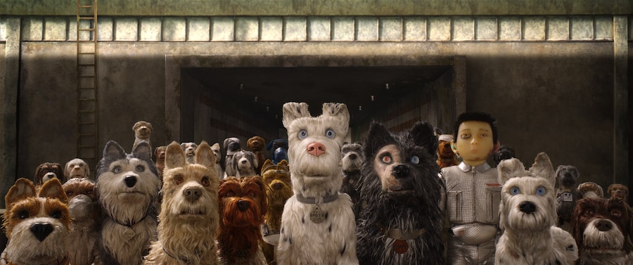 Wes Anderson Day