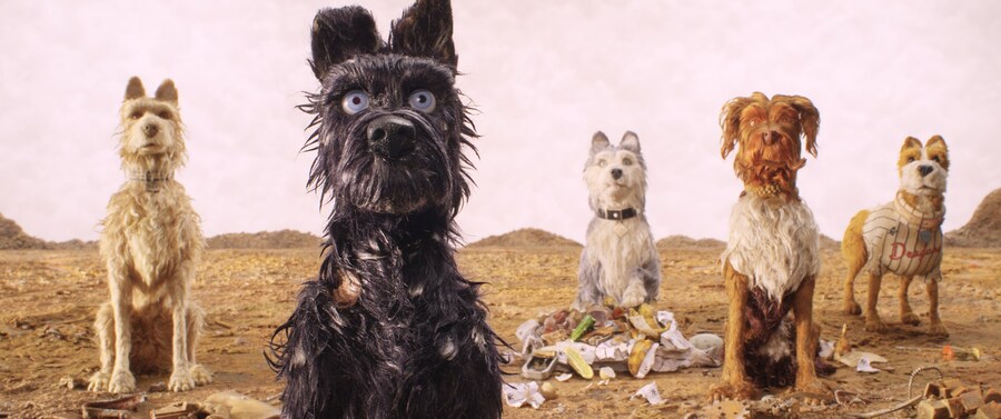 Wes Anderson Day 5