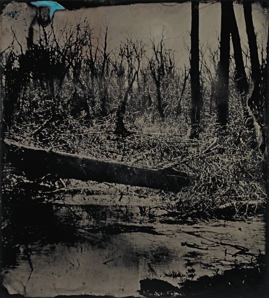 Sally Mann: A Thousand Crossings 21