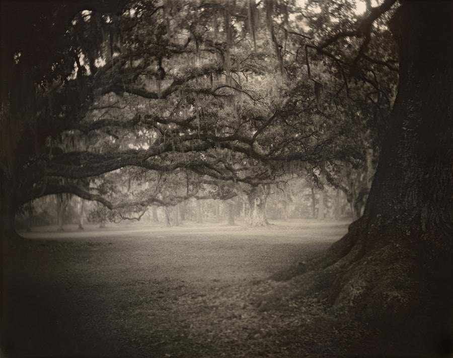 Sally Mann: A Thousand Crossings 29