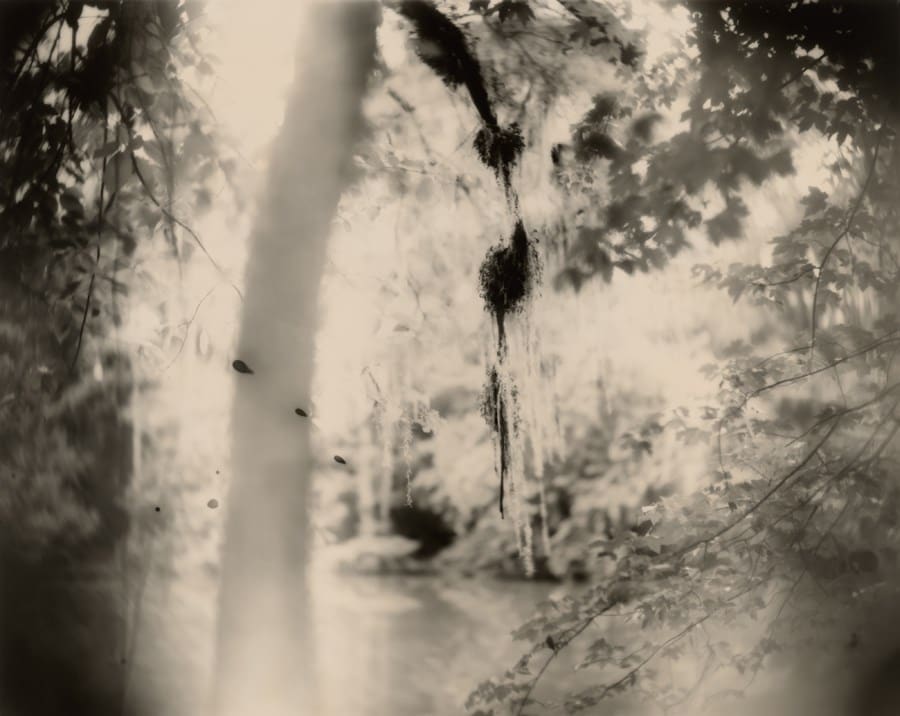 Sally Mann: A Thousand Crossings 34
