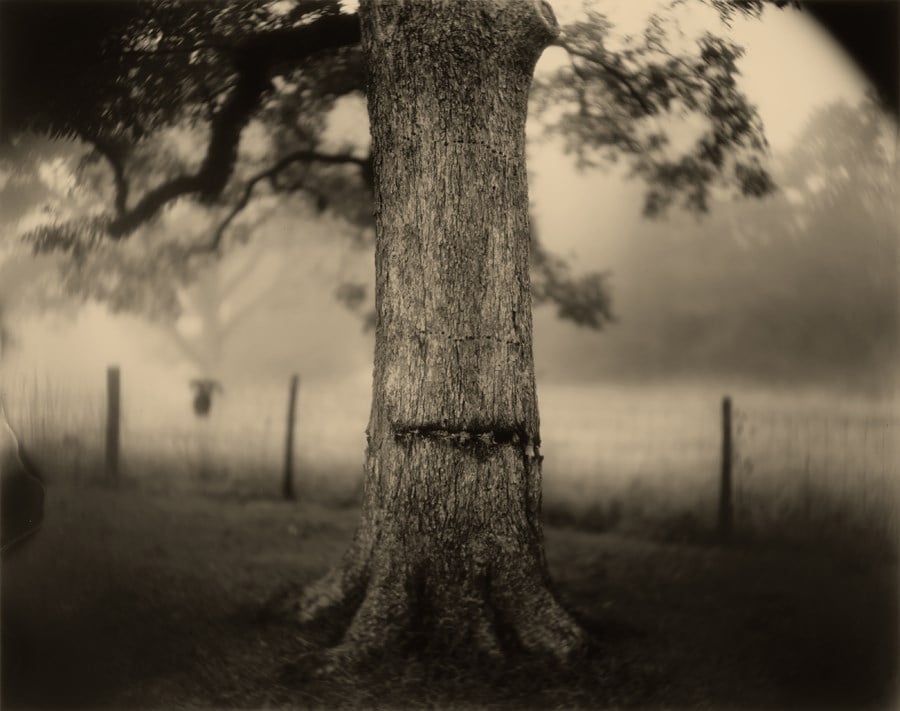 Sally Mann: A Thousand Crossings 35