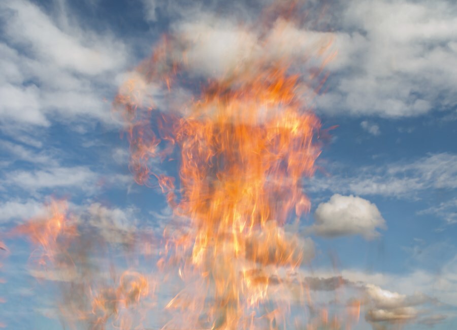 Joel Meyerowitz 7