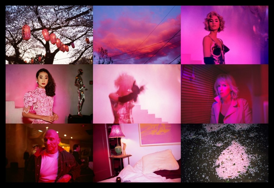 Nan Goldin: Tr&#228;ume 5