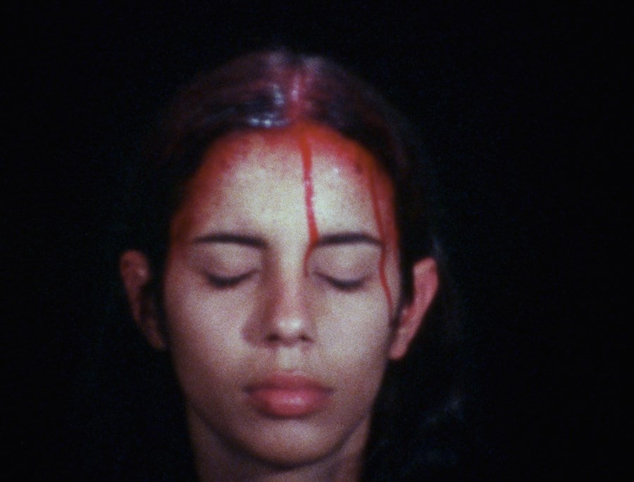 Ana Mendieta 7