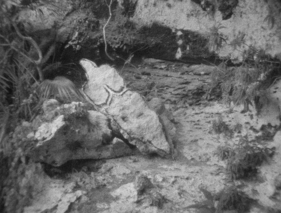 Ana Mendieta 6
