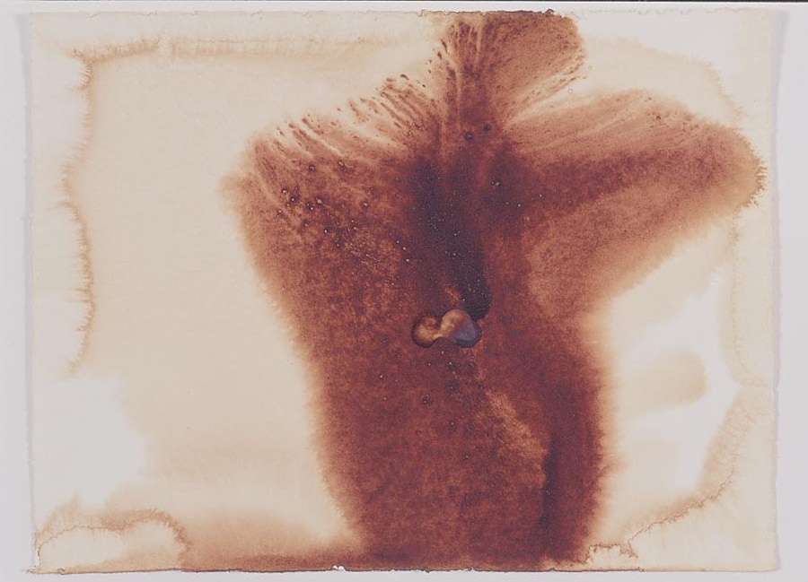 Solitary Pleasures 0