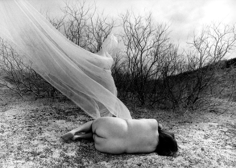 Laura Aguilar Show and Tell 11