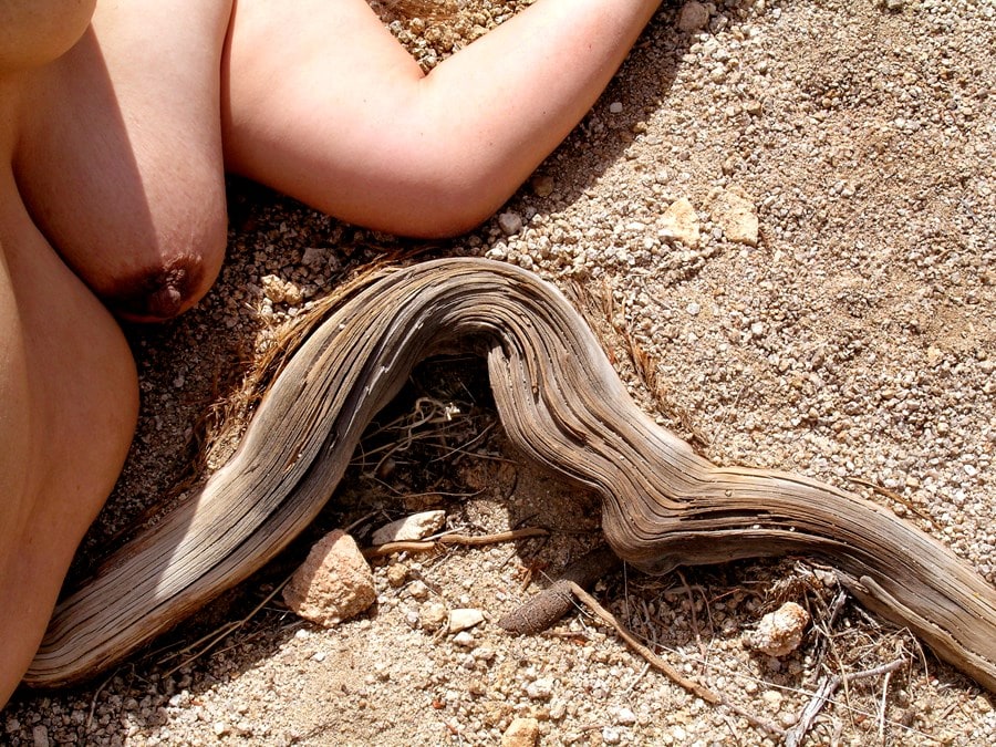 Laura Aguilar Show and Tell 29