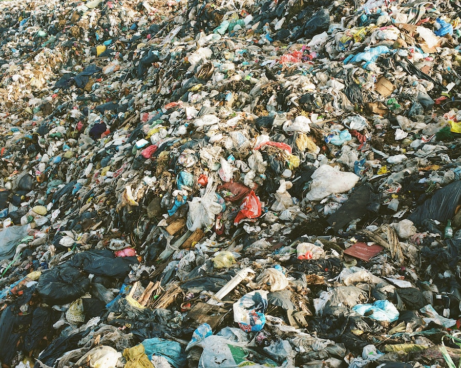 Thrift Book and Exhibition Images 4