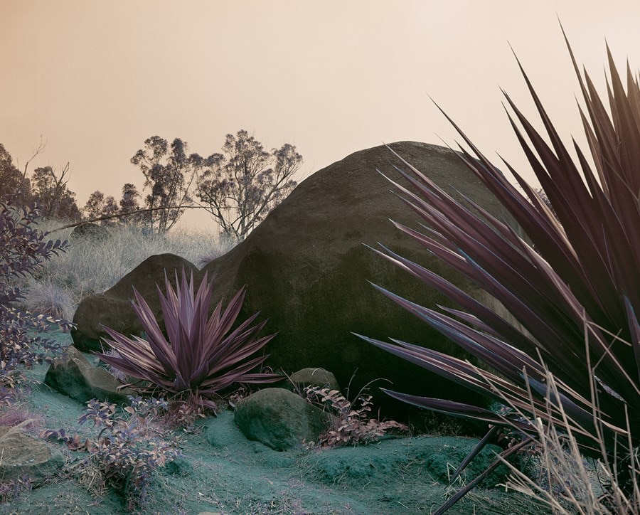 Labs New Artists II 1