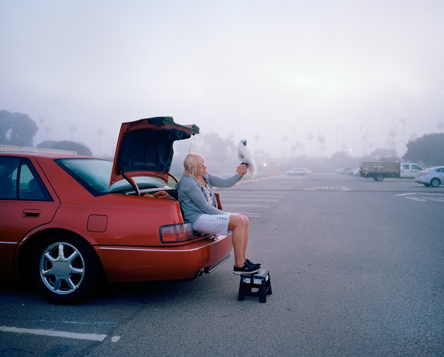 Labs New Artists II 3