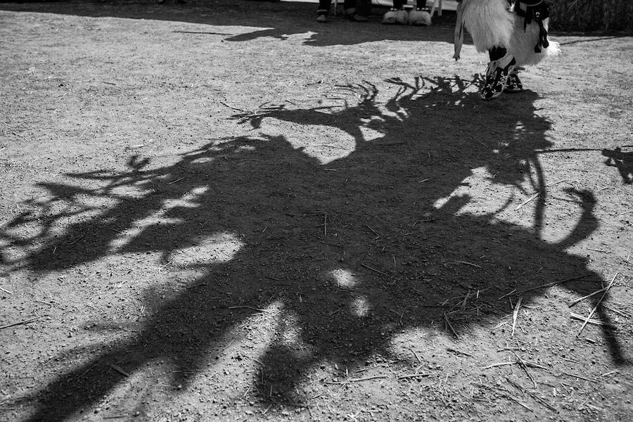 Josu&#233; Rivas: Standing Strong 13