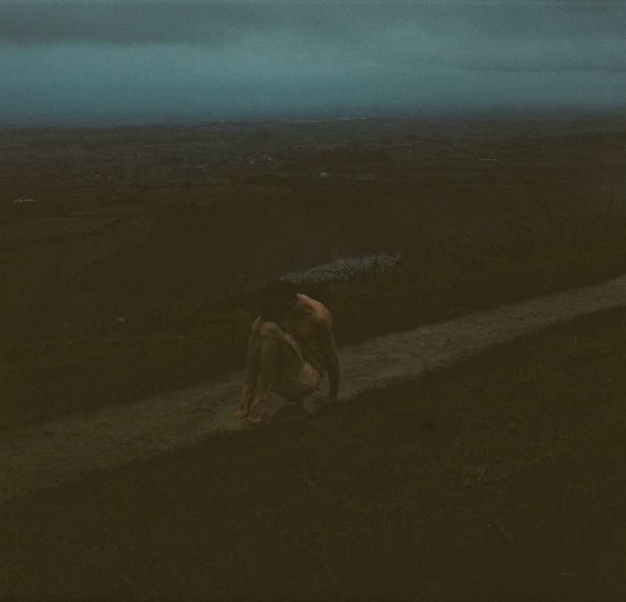 Ryan Skelton: Land Swallow 7