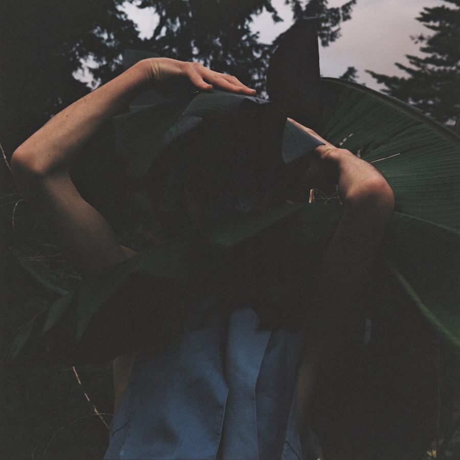 Ryan Skelton: Land Swallow 3