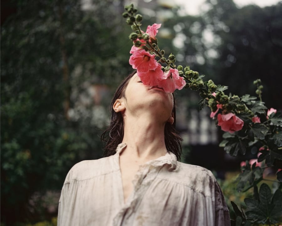 Ryan Skelton: Land Swallow 0