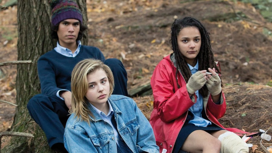 miseducation of cameron post